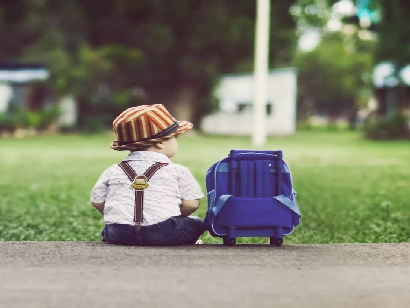 试管报销政策山东淄博,试管胚胎等级要求